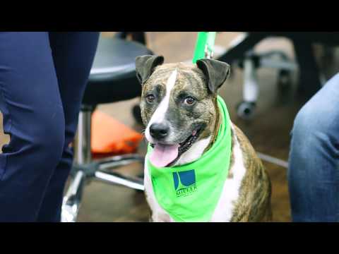 基廷:生命的新束缚